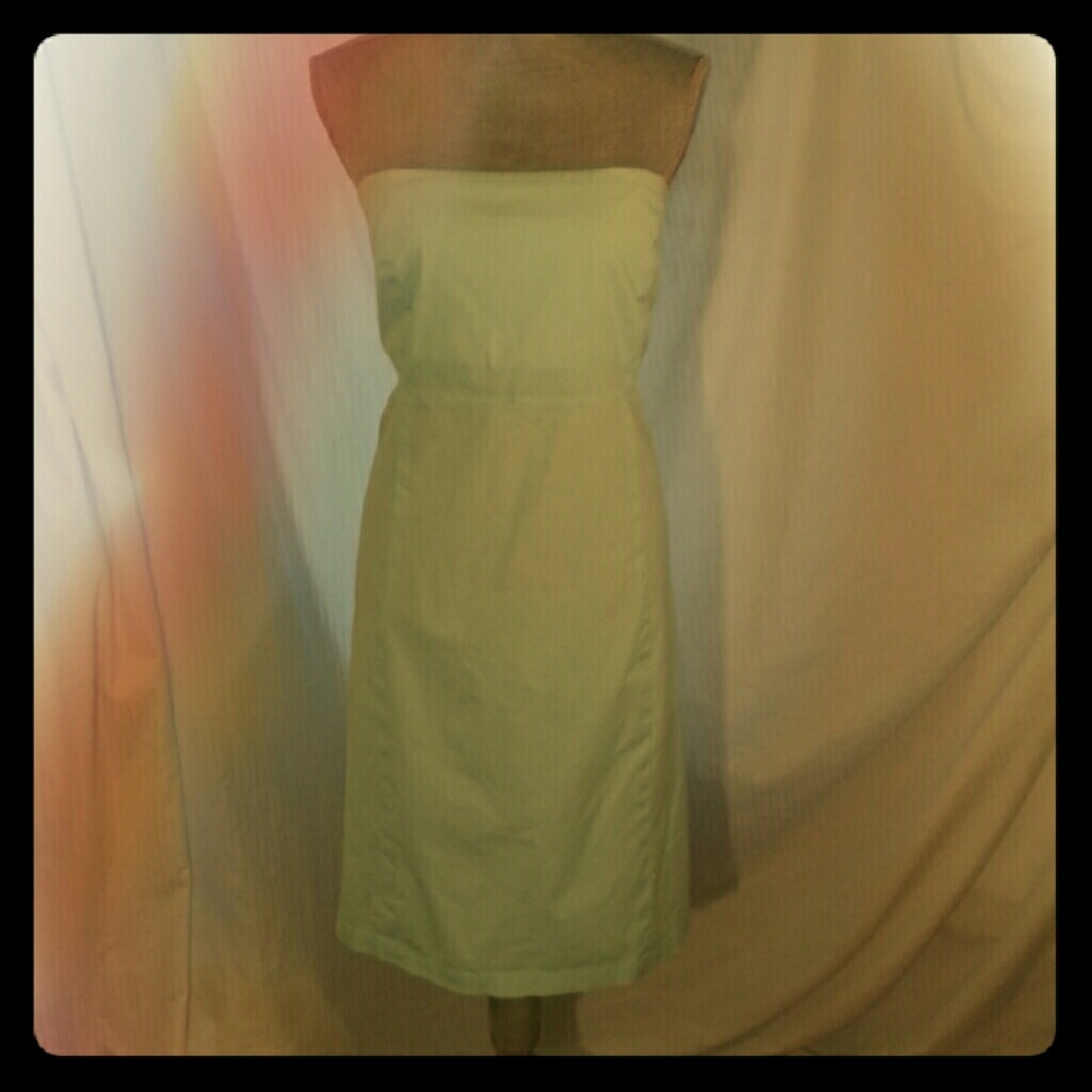 The Gap Pale Aqua Cotton Strapless Sundress